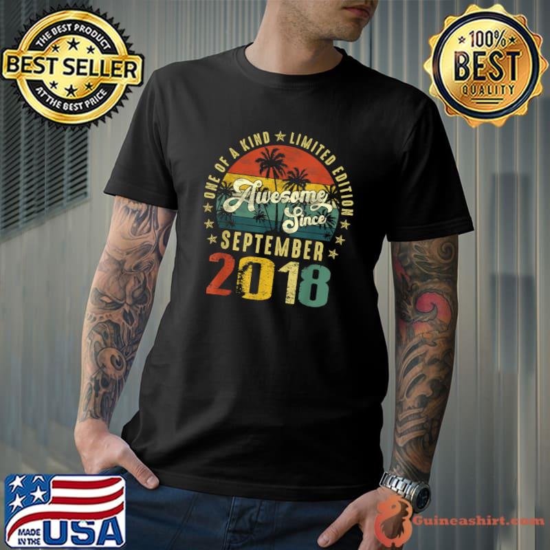 One Of A Kind Limited Edition Awesome Since September 2018 4 Years Old Vintage Sunset T-Shirt