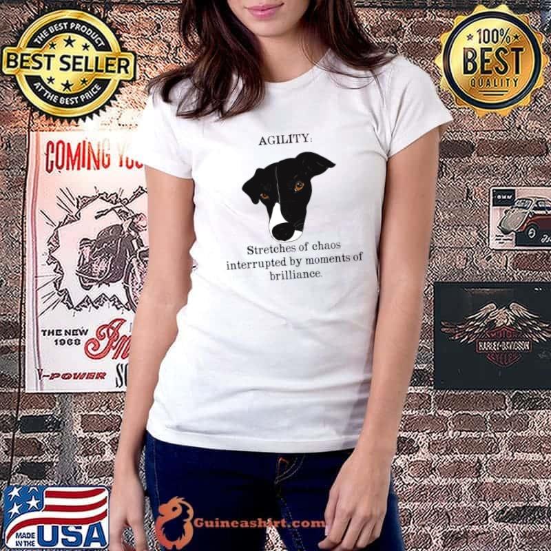 Agility Stretches Of Chaos Interrupted By Moments Of Brilliance T-Shirt Ladiestee