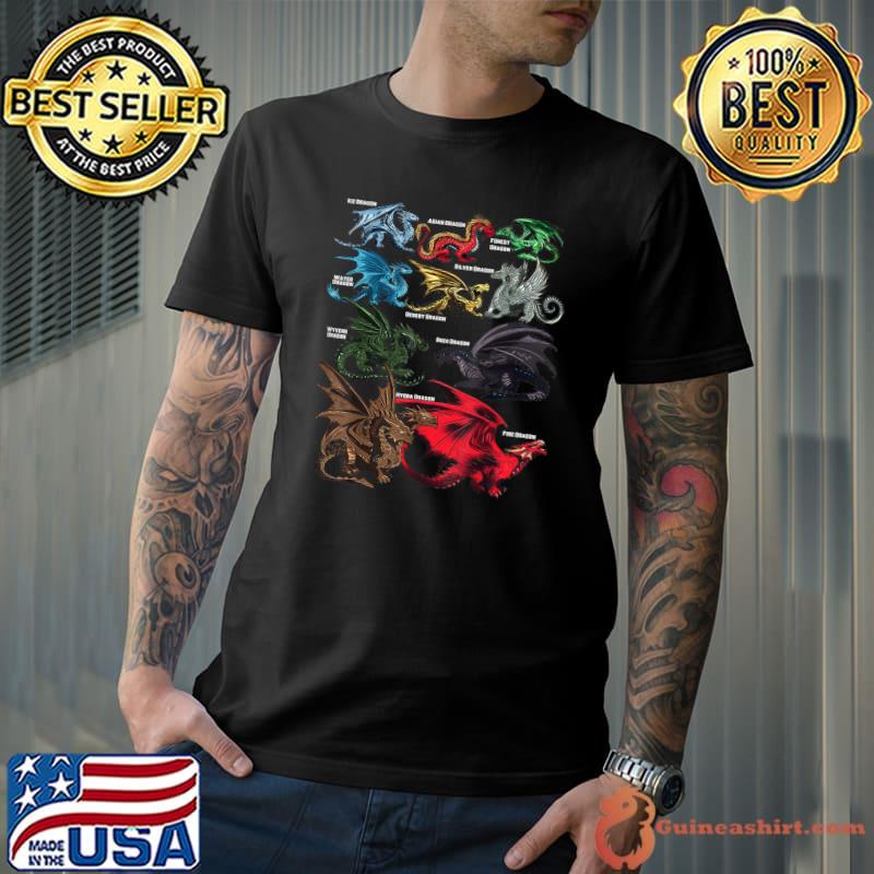 Awesome Dragon Lovers Types Of Dragons Gift T-Shirt