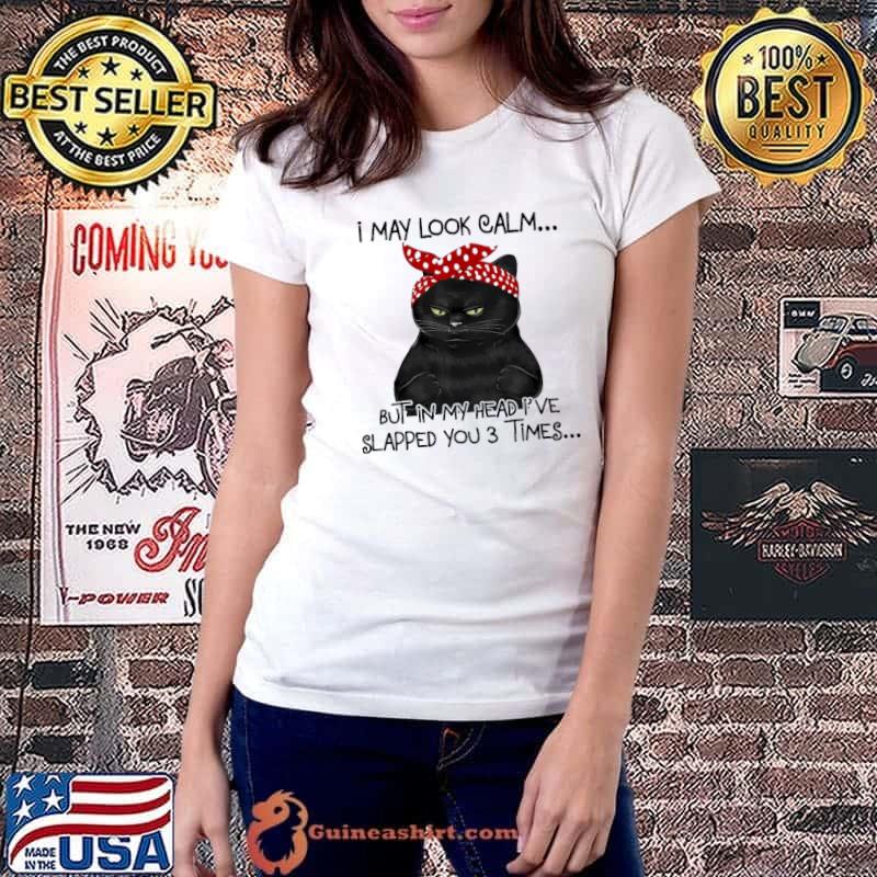 I May Look Calm But In My Head I've Slapped You 3 Times Cat Shirt Ladiestee