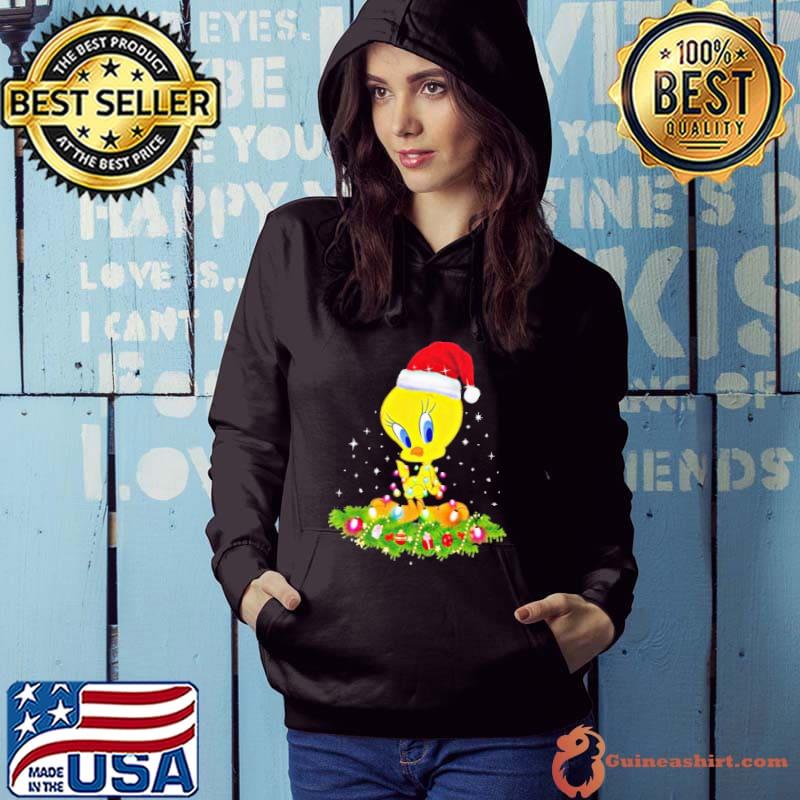 Duck Christmas light s Hoodie