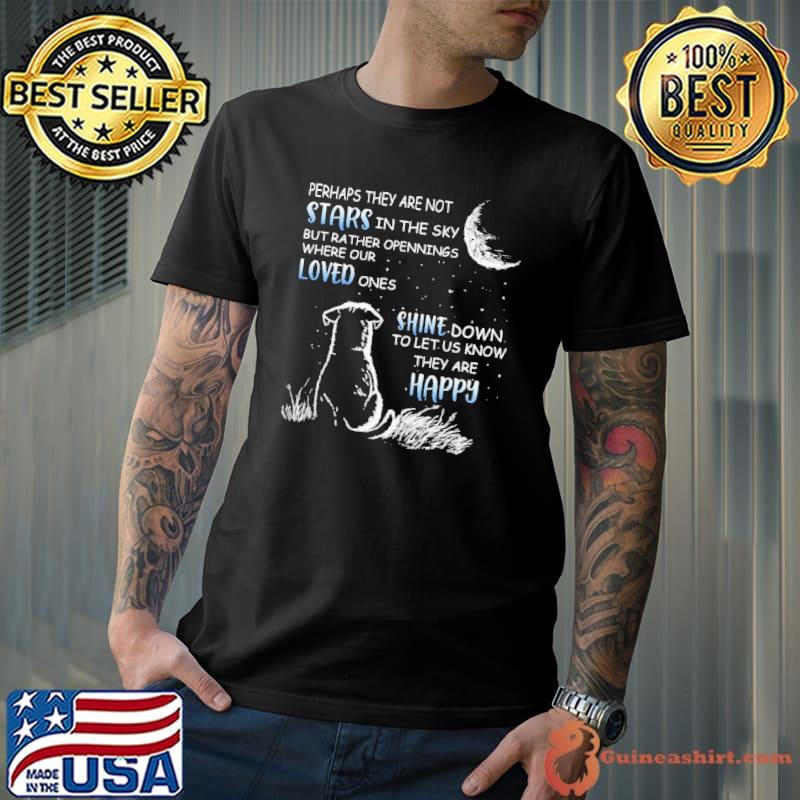 Dog Perhaps They Are Not Star In The Sky Shine Down shirt