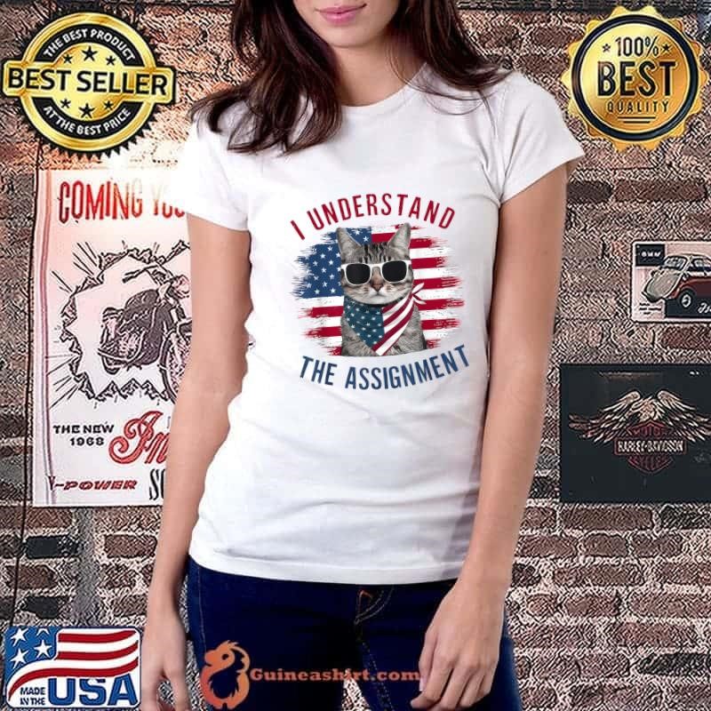 I Understand The Assignment Cat Childless Cat Lady Usa Flag Ladiestee