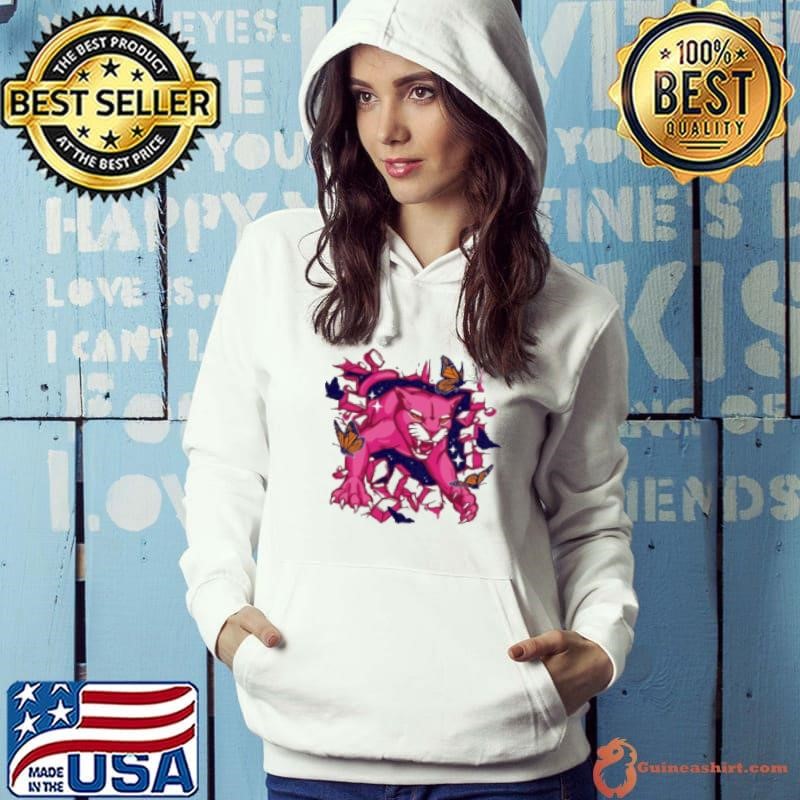 Florida Panthers Pink In The Rink 2024 Hoodie
